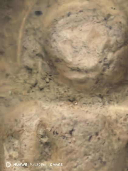 พระคง กรุช้างค้ำ รูปที่ 5