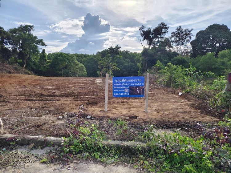 ขายที่ดินภูเก็ตติดคลองต่ำกว่าราคาประเมิน 1ไร่63.9ตร.วา ติดคลองท่าจีน ม.สิเหร่ ปาร์ค วิลล์ ตำบล รัษฏา อำเภอ เมือง ภูเก็ต รูปที่ 2