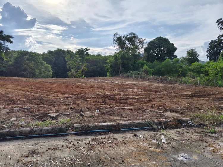 ขายที่ดินภูเก็ตติดคลองต่ำกว่าราคาประเมิน 1ไร่63.9ตร.วา ติดคลองท่าจีน ม.สิเหร่ ปาร์ค วิลล์ ตำบล รัษฏา อำเภอ เมือง ภูเก็ต รูปที่ 3