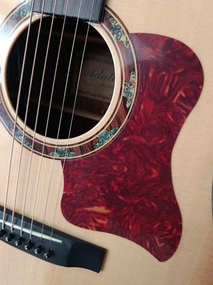 กีตาร์โปร่งไฟฟ้า รูปที่ 8