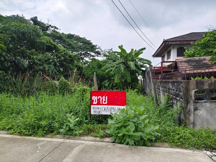 ขายที่ดิน ตำบลบางพูด ปากเกร็ด นนทบุรี ถนนติวานนท์ปากเกร็ด 34 (ซอยงบประมาณ)