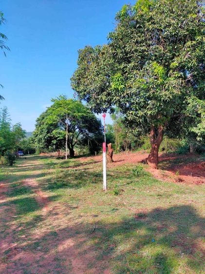 ขายทีดิน ต.เขาน้อย อ.ท่าม่วง กาญจนบุรี ติดภูเขา 10 ไร่