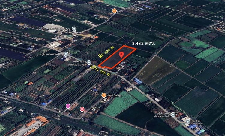 ขายที่ดิน 21 ไร่ ติดถ.จงถนอม วัดต้นเชือก ต.บ้านใหม่ บางใหญ่ นนทบุรี ใกล้ม.มหิดล ศาลายา