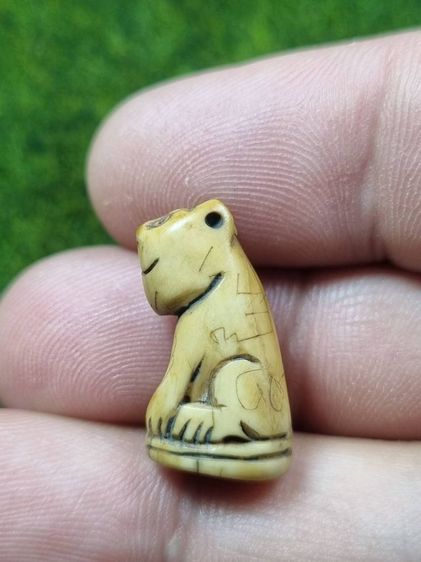 เสือหลวงพ่อปานเก่าๆ รูปที่ 4