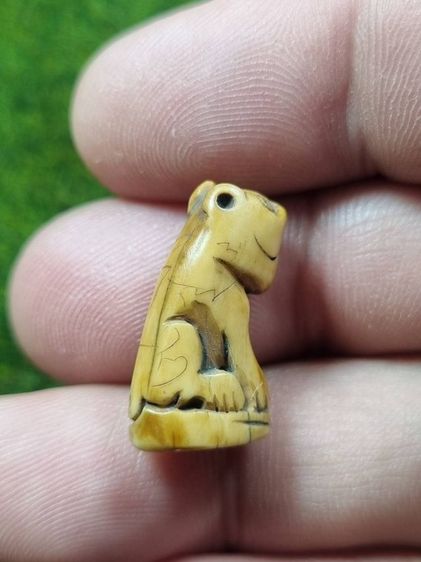 เสือหลวงพ่อปานเก่าๆ รูปที่ 3