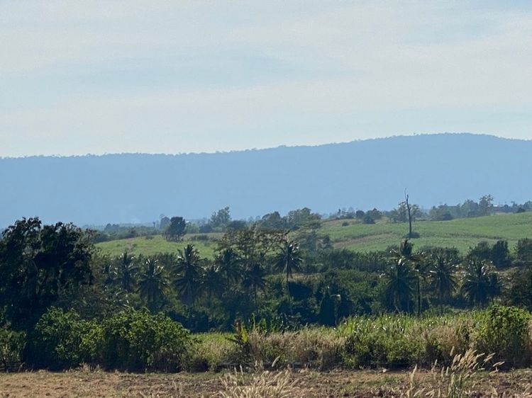 ที่ดินเนินเขาวิวสวย ต.วังกะทะ ใกล้เขาใหญ่ แบ่งขาย ไร่ละ 5แสน 