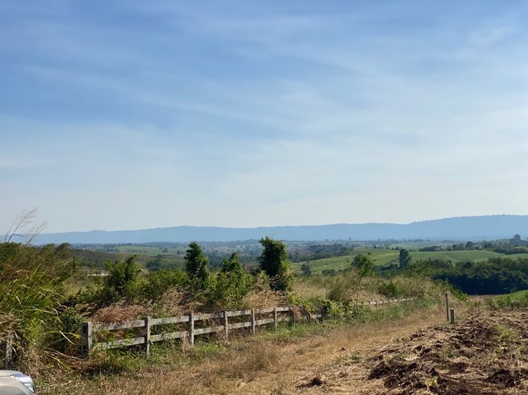 ไม่ใช่ ที่ดินเนินเขาวิวสวย ต.วังกะทะ ใกล้เขาใหญ่ แบ่งขาย ไร่ละ 5แสน  รูปที่ 3