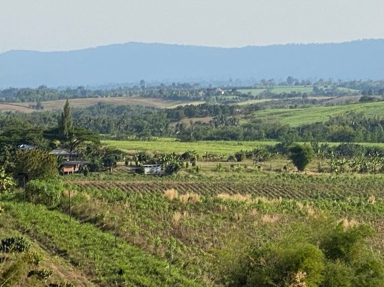 ที่ดินเนินเขาวิวสวย ต.วังกะทะ ใกล้เขาใหญ่ แบ่งขาย ไร่ละ 5แสน  รูปที่ 2