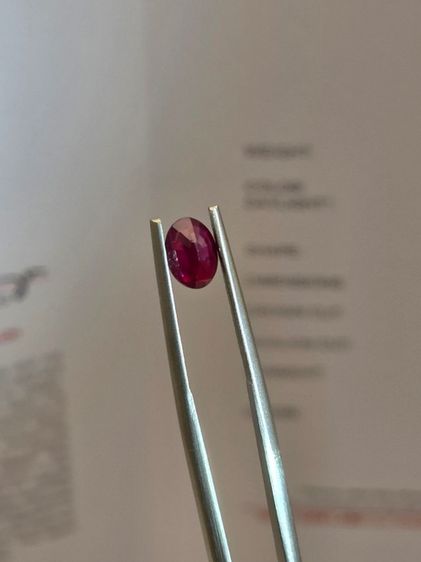 Ruby Pigeon Blood รูปที่ 3