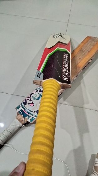 Cricket ไม้คริกเก็ต 