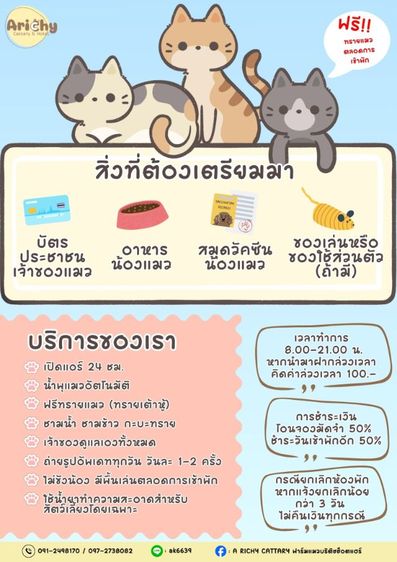 รับฝากเลี้ยงแมว รูปที่ 13