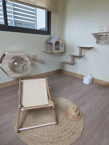 รับฝากเลี้ยงแมว รูปที่ 10