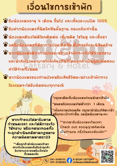 รับฝากเลี้ยงแมว รูปที่ 12