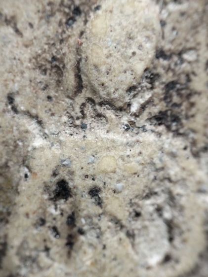 ❌ปิดครับ❌พระสมเด็จครับ รูปที่ 6