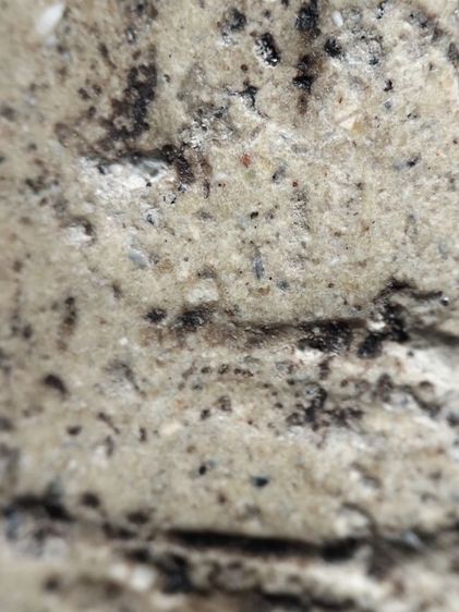 ❌ปิดครับ❌พระสมเด็จครับ รูปที่ 5