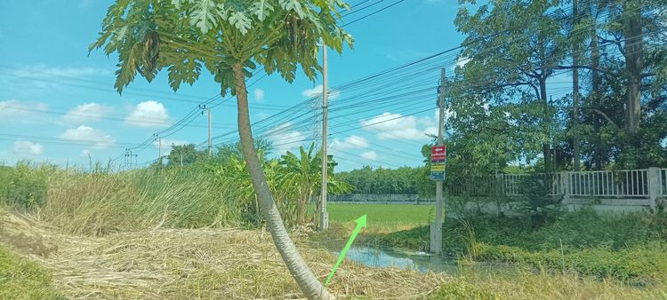 ขายที่ดินติดถ.บางบัวทอง-สุพรรณบุรี (340) กม 19. รูปที่ 3