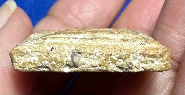 🙏พระสมเด็จพิมพ์ทรงเจดีย์ มีคราบรัดเก่าตามซอก🙏พระสมเด็จพิมพ์ใหญ่ เนื้อก้นครก องค์ละ2000 รูปที่ 15