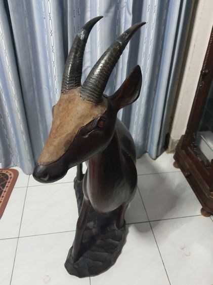 ไม้สักแกะ เลียงผา