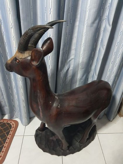 ไม้สักแกะ เลียงผา รูปที่ 2