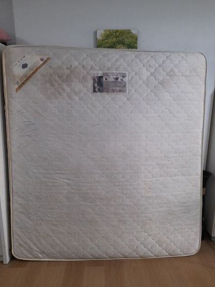 ฝ้ายผสม อุปกรณ์เครื่องนอนอื่นๆ ที่นอน6ฟุต