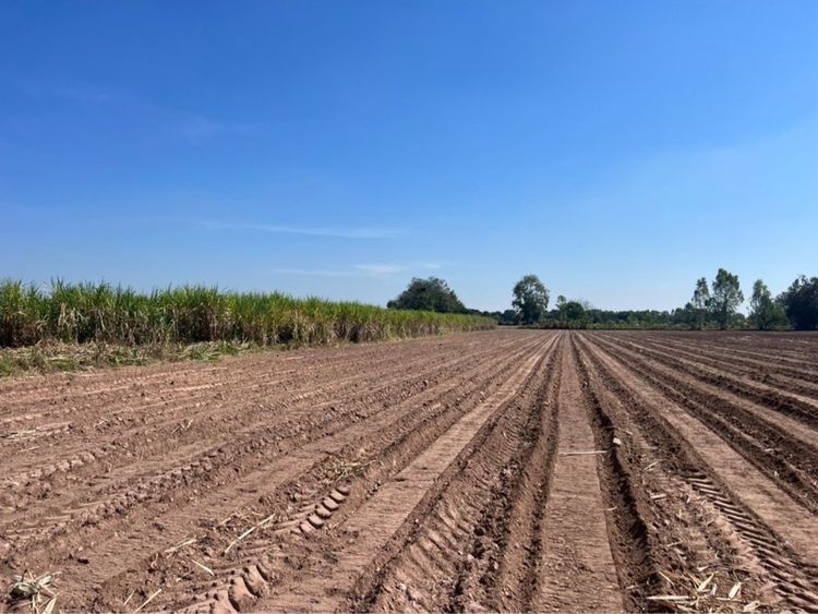 ที่ดินสวย ทำเลทอง รูปที่ 4