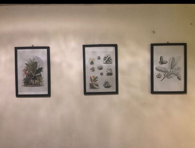 กรอบรูป