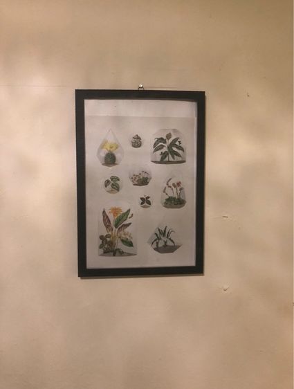 กรอบรูป รูปที่ 2