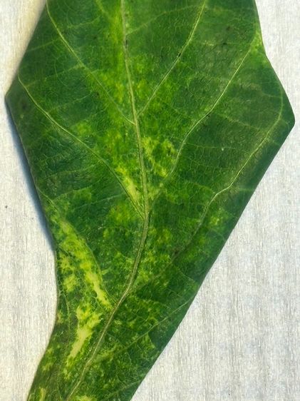 หาสัดส่วนสารเคมี วิเคราะห์สัดส่วนเคมี รูปที่ 3