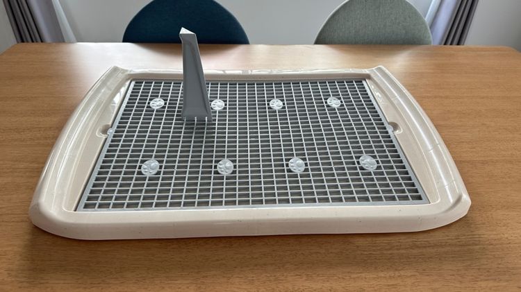 ของใช้หมา รูปที่ 10