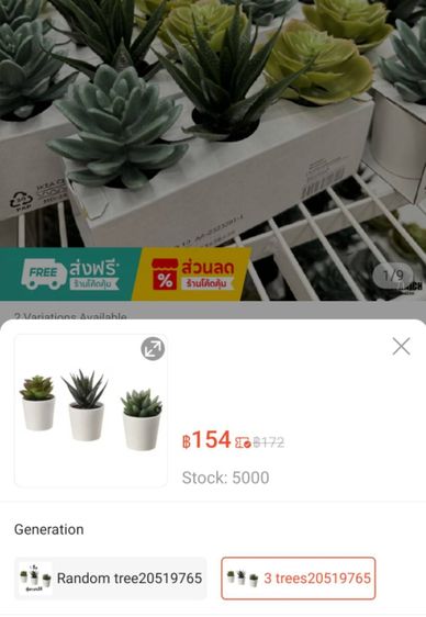 ต้นไม้ Ikea อีเกีย Fejka ชุดละ 100 บาท, ขายเหมา 5 ชุด (1ชุด 3 ต้นจิ๋ว) รูปที่ 4