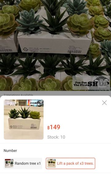 ต้นไม้ Ikea อีเกีย Fejka ชุดละ 100 บาท, ขายเหมา 5 ชุด (1ชุด 3 ต้นจิ๋ว) รูปที่ 2