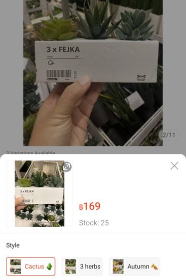 ต้นไม้ Ikea อีเกีย Fejka ชุดละ 100 บาท, ขายเหมา 5 ชุด (1ชุด 3 ต้นจิ๋ว) รูปที่ 3