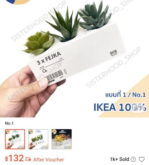 ต้นไม้ Ikea อีเกีย Fejka ชุดละ 100 บาท, ขายเหมา 5 ชุด (1ชุด 3 ต้นจิ๋ว) รูปที่ 6