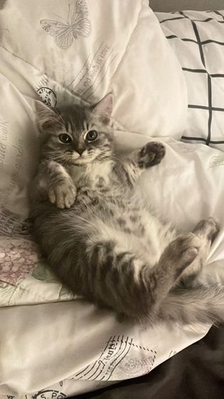 น้องน่ารักอ้อนมาก