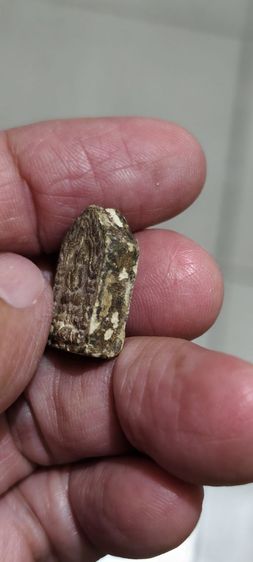 พระหลวงพ่อเก่าๆ รูปที่ 7