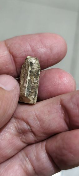 พระหลวงพ่อเก่าๆ รูปที่ 8