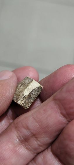 พระหลวงพ่อเก่าๆ รูปที่ 10