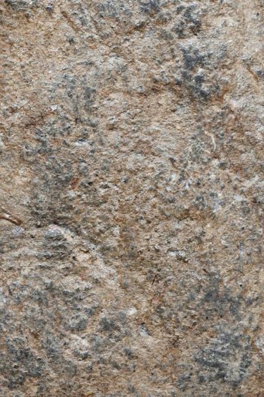 พระเนื้อว่าน หลวงพ่อทวด วัดช้างให้ พิมพ์พระรอด ปี 2497 รูปที่ 6