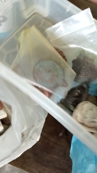 เหรียญเก่าวัดหลักสี่พระเหมาได้มาจากบ้าคนแก่เก่ามากๆ รูปที่ 7