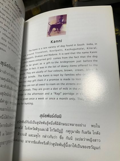 บริจาคหนังสือพระตรีมูรติ 108 หน้า รูปที่ 10