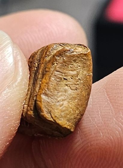 พระรอดกรุวัดมหาวัน รูปที่ 11