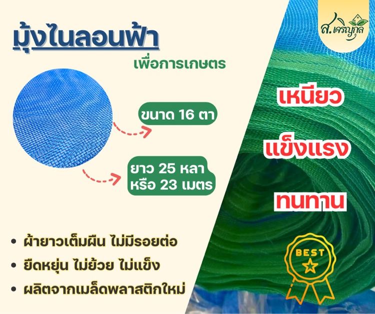 มุ้งไนลอนฟ้า