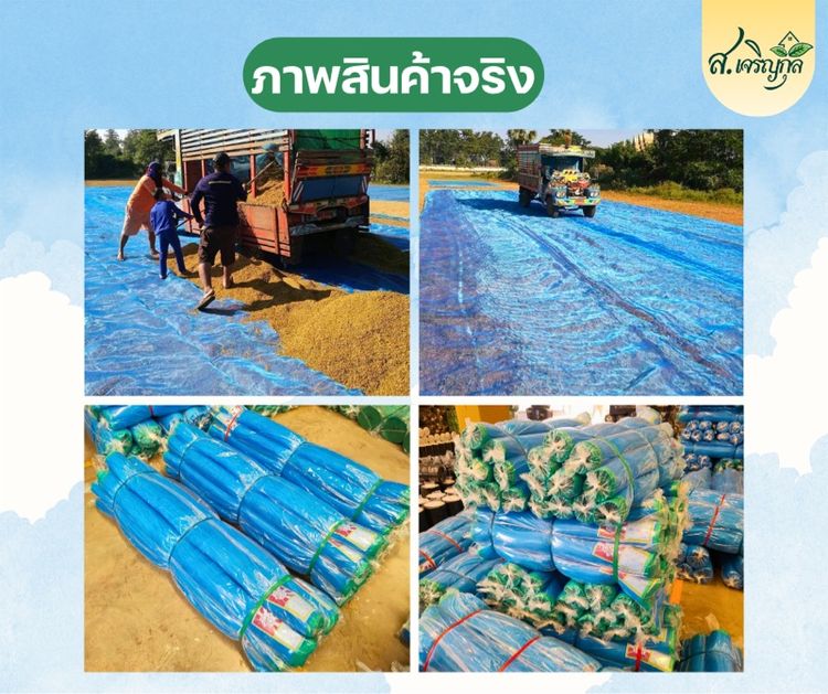 มุ้งไนลอนฟ้า รูปที่ 2
