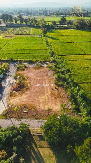 ที่ดินเปล่า วิวภูเขา ใกล้วัดร่องขุ่น ป่าอ้อดอนชัย เชียงราย รูปที่ 4