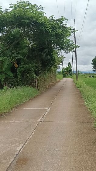 ไม่ใช่ ที่ดินสี่เหลี่ยม ใกล้สนามบินเชียงราย เข้าออกสะดวก ตืดถนนคอนกรีต รูปที่ 3