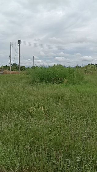 ที่ดินสี่เหลี่ยม ใกล้สนามบินเชียงราย เข้าออกสะดวก ตืดถนนคอนกรีต
