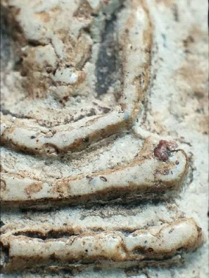 พิมพ์โบราณ. รูปที่ 10