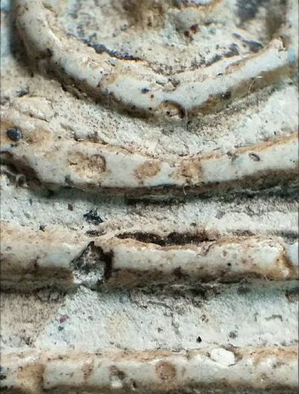 พิมพ์โบราณ. รูปที่ 7