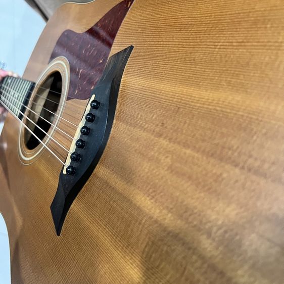 โปร่งไฟฟ้า Taylor 110e รูปที่ 14