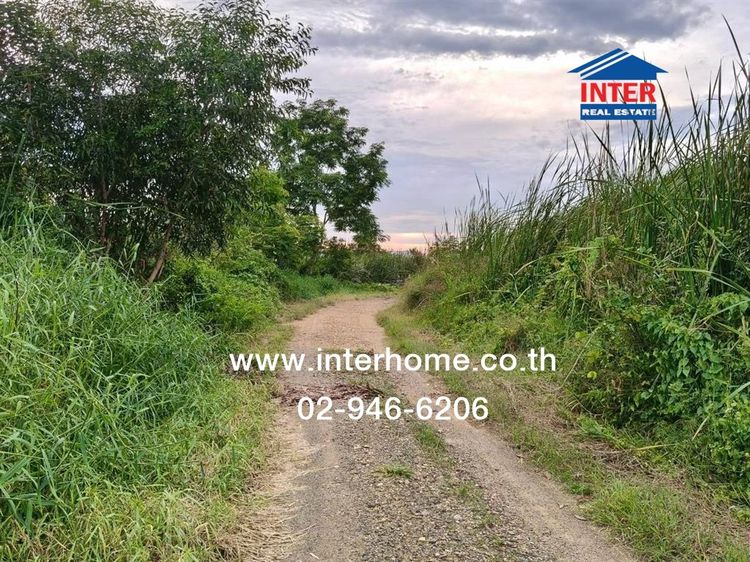 ไม่ใช่ ที่ดินเปล่า 200 ตร.ว. ที่ดิน ซอยบงกซ95 ใกล้ตลาดทำเลทอง ถนนคลองสอง-คลองหลวง ถนนซอยรังสิต-นครนายก31 คลองหลวง ปทุมธานี รูปที่ 2